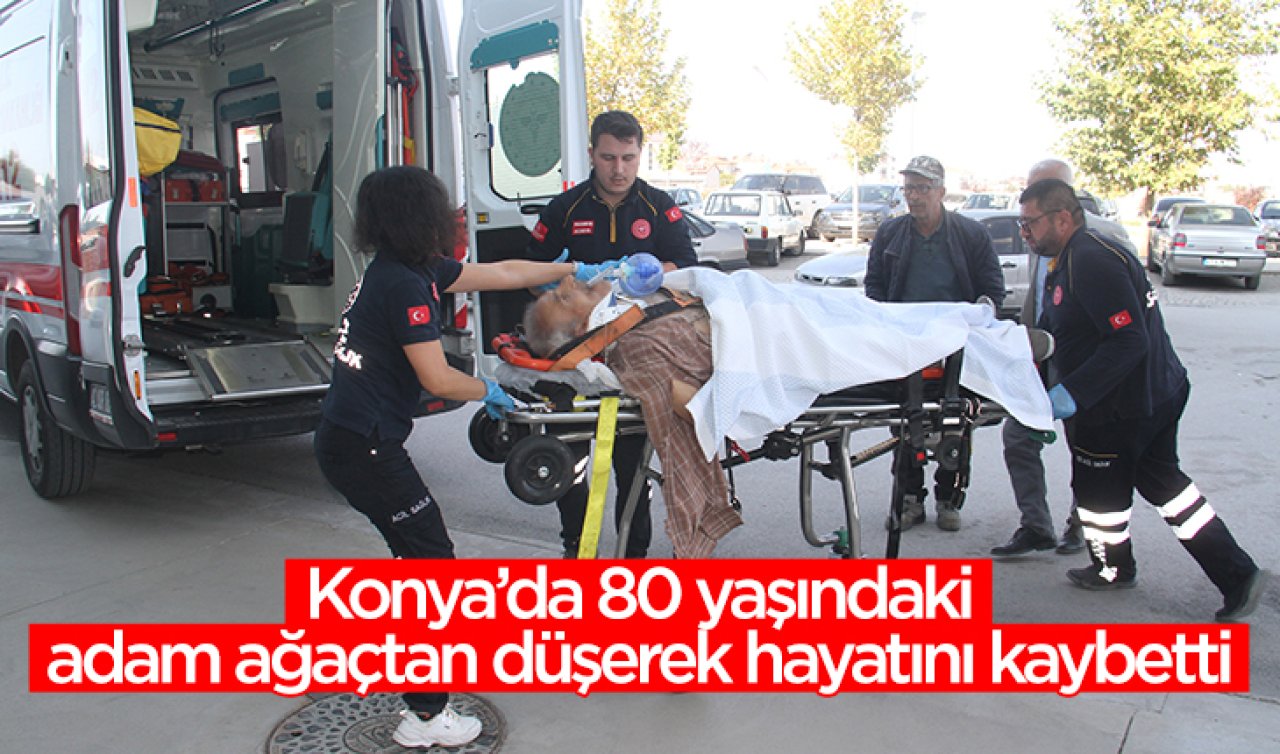 Konya’da 80 yaşındaki adam ceviz ağacından düştü: Tüm müdahalelere rağmen kurtarılamadı