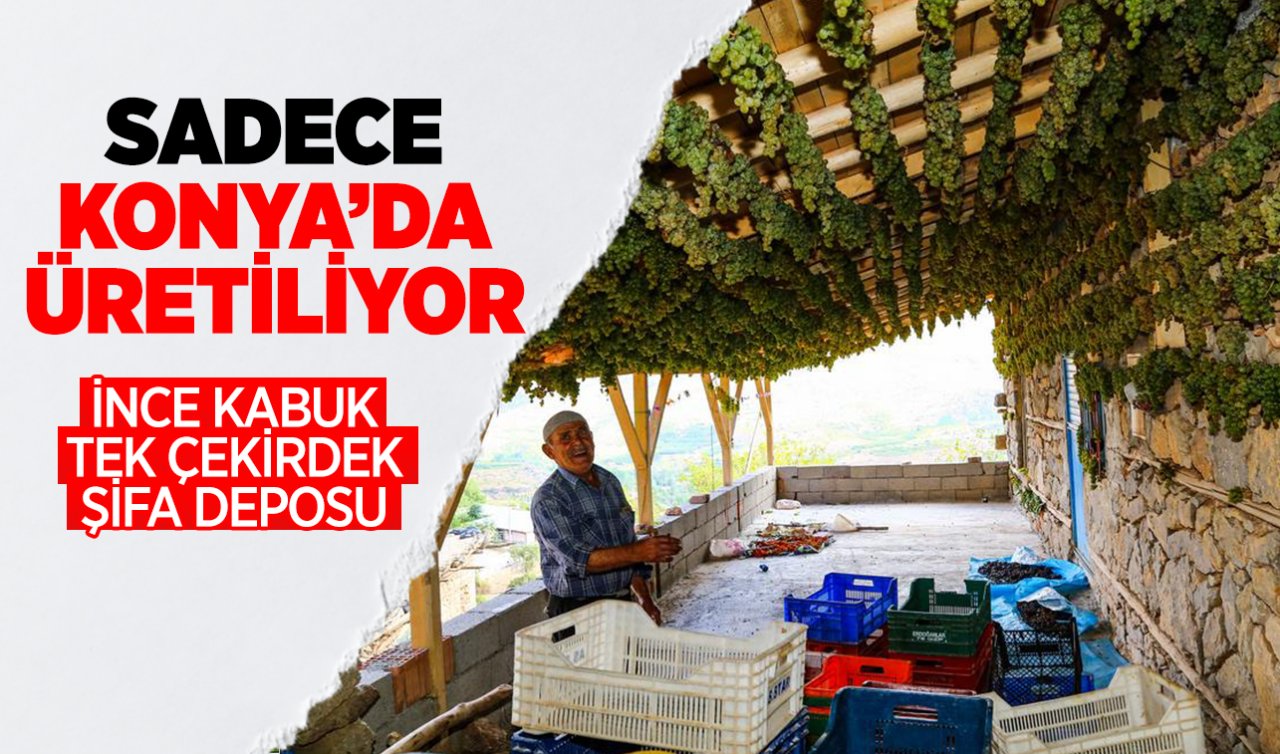 Türkiye’de eşi benzere yok! Konya’nın eşsiz ürününün fiyatı belli oldu