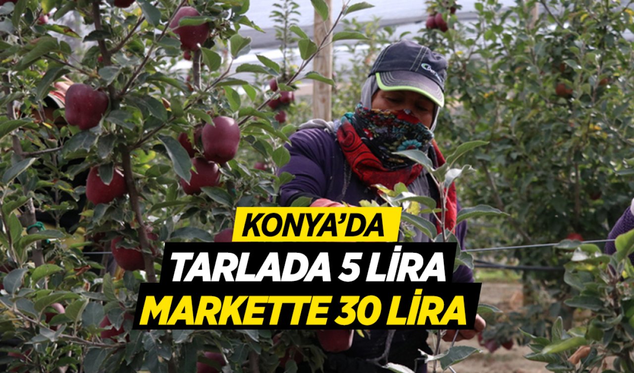 Konya’da tarlada 5 lira markette 30 lira!