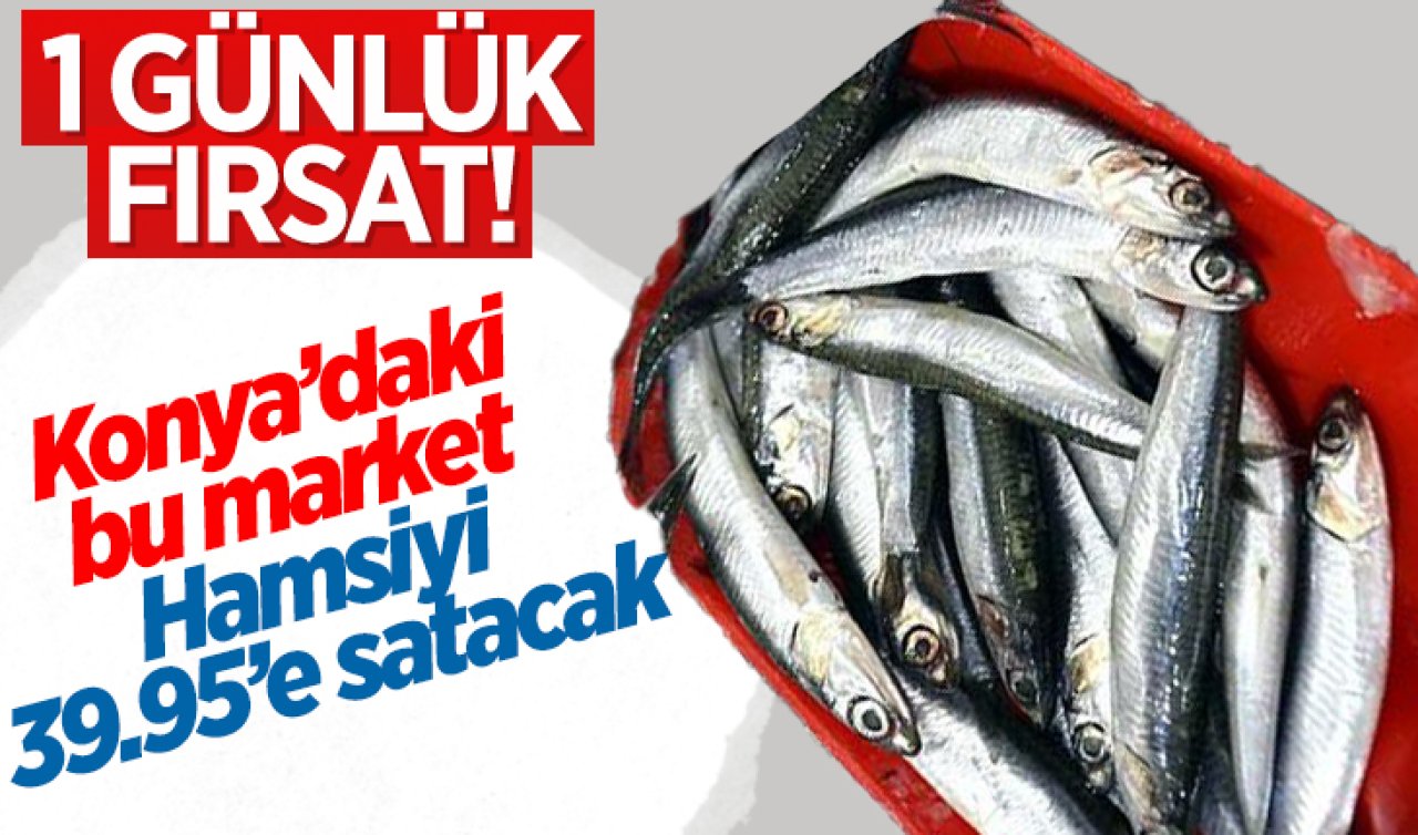 Konya’daki bu market hamsiyi 39.95’e satacak! 1 günlük fırsat