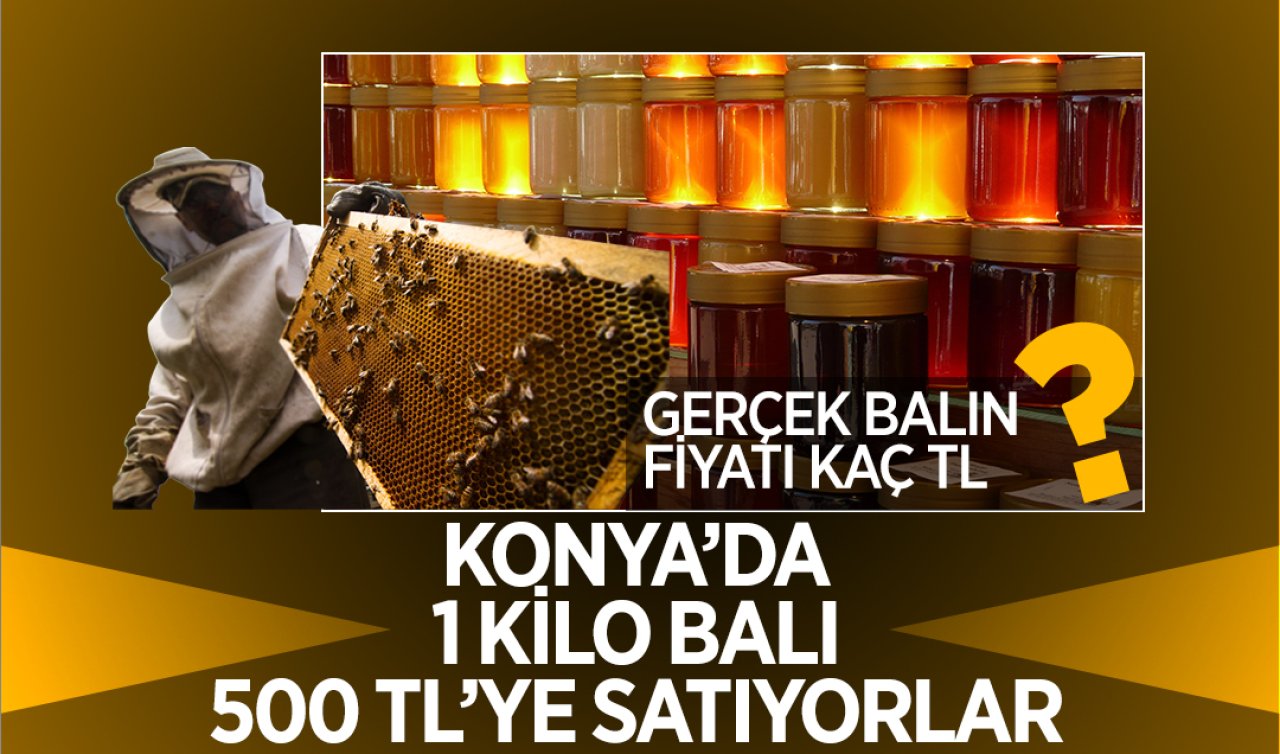 Konya’da 1 kilo balı 500 TL’ye satıyorlar! İşte balın gerçek fiyatı