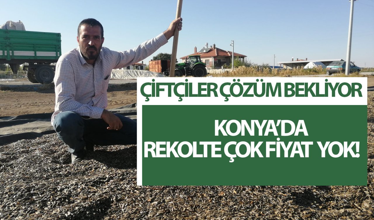 Konya’da çiftçiler isyanda! Mahsuller çadırın üstünde kaldı