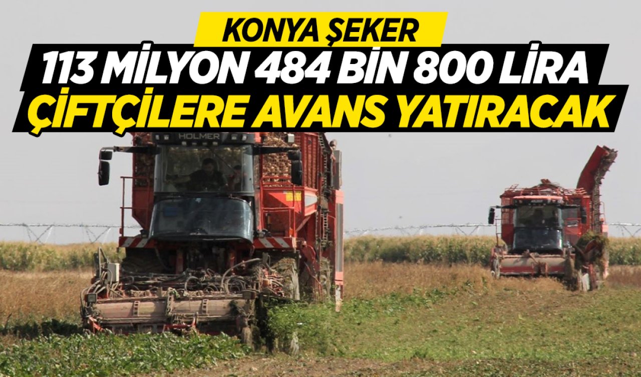 Konya Şeker’den çiftçilere müjdeli haber! Avansların hesaplara yatacağı tarih belli oldu!
