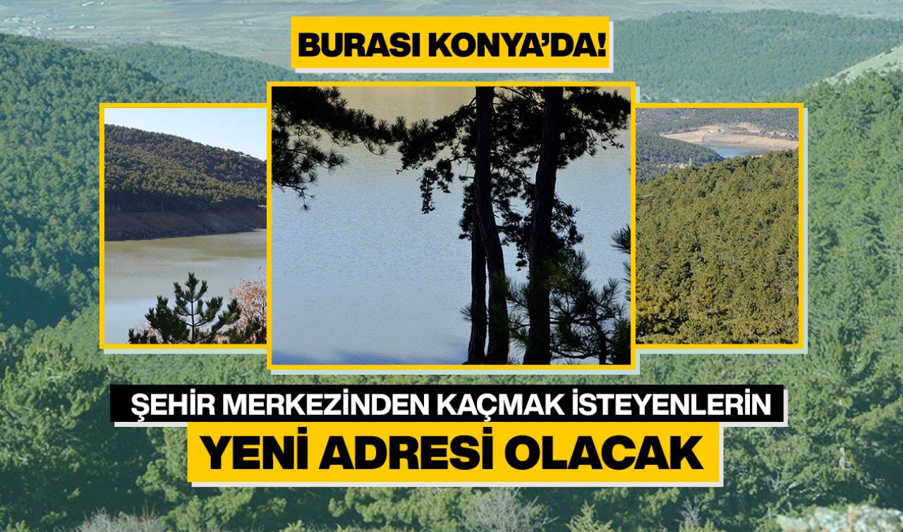 Konya’da eşsiz göl ve ormanlık alan! Doğaseverlerin yeni adresi