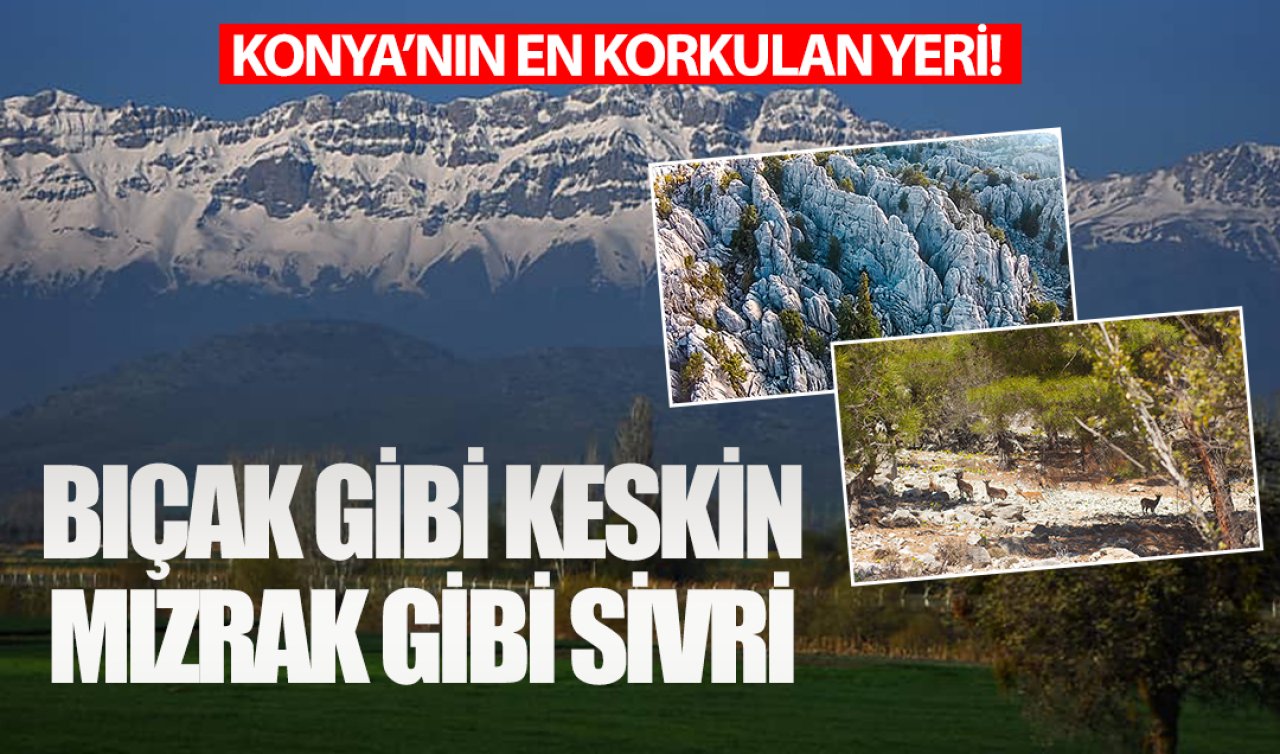 Konya’nın en korkulan yeri! Anlatılanlar insanı sarsıyor