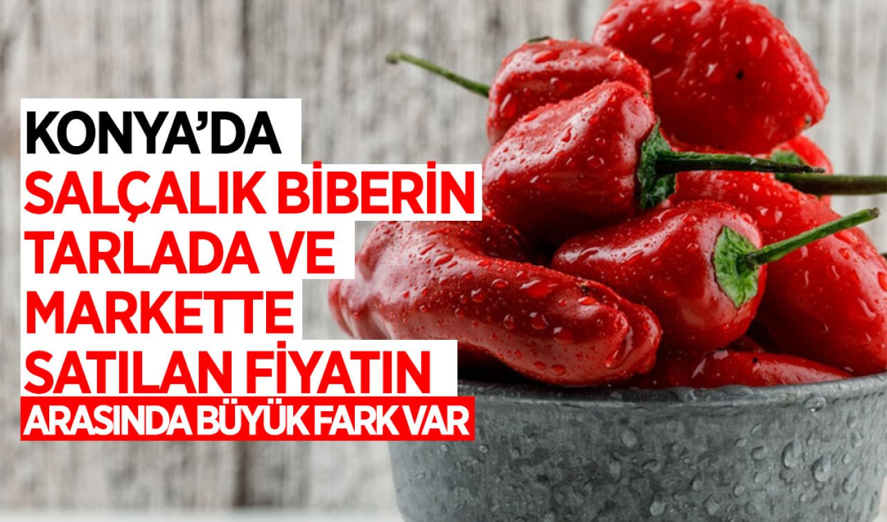 Konya’da salçalık biberin fiyatı artıyor! 