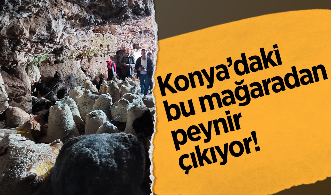 Konya’daki bu mağaradan peynir çıkıyor!
