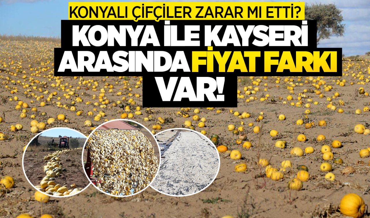Konya’da 90 liraya satılırken Kayseri’de 125 liraya satılıyor!