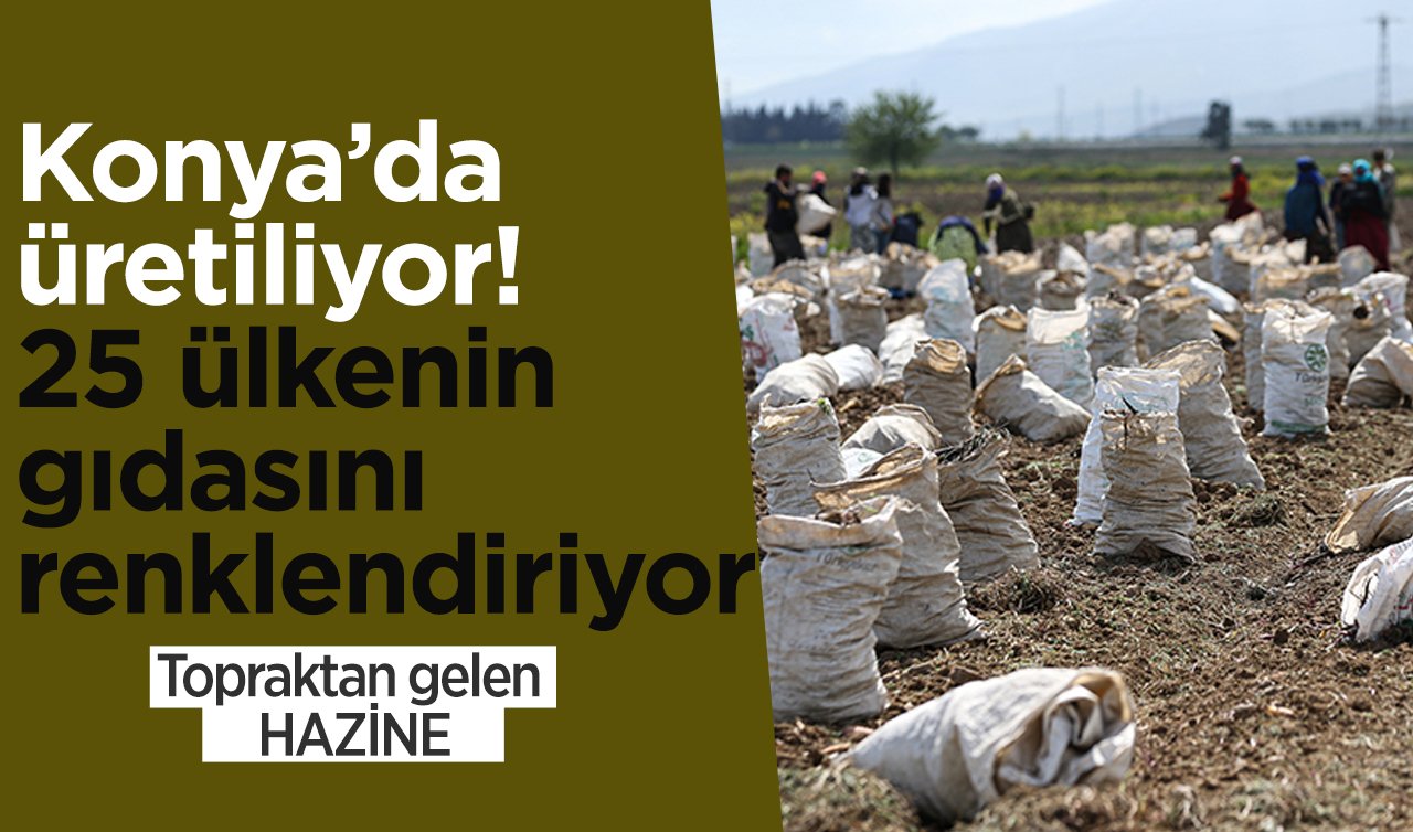 Konya’da üretiliyor 25 ülkenin gıdasını renklendiriyor! 