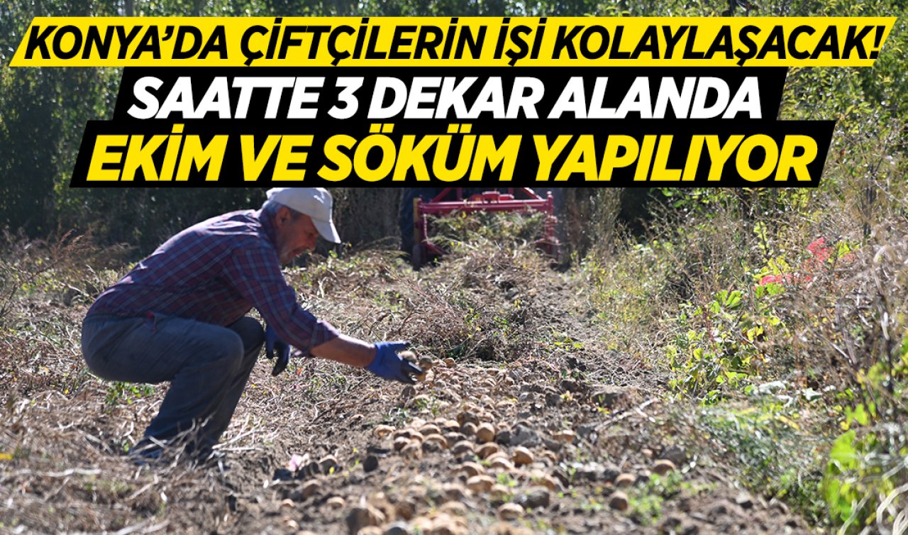 Konya’da fiyatı 8 TL! 100 dekar alanda hasadı yapıldı
