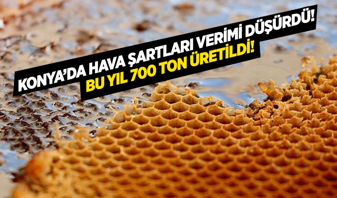 Konya üretiminde söz sahibi! 52 ülkeye ihraç ediliyor