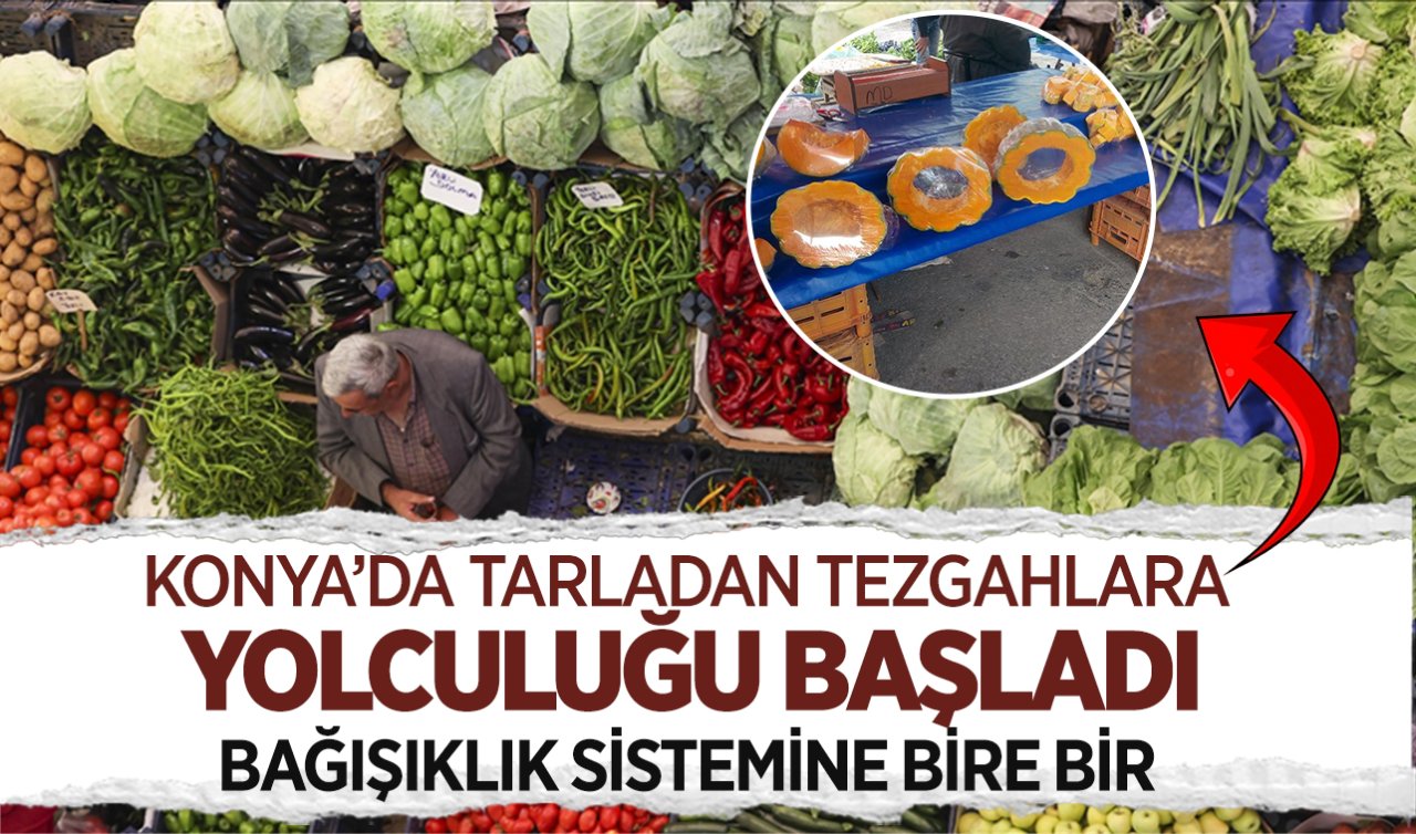Konya’da bal kabağının fiyatı belli oldu! 