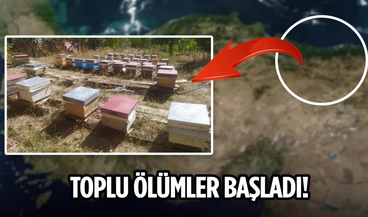 Kırmızı alarm! Bulaşıcı hastalık başladı: Sonu ölüm! 