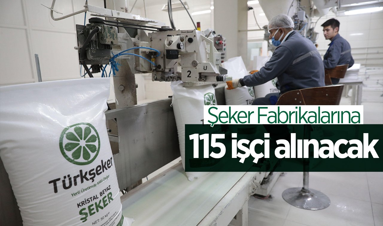 Şeker fabrikalarına 115 sürekli işçi alınacak! İlkokul ve lise mezunlarına müjde