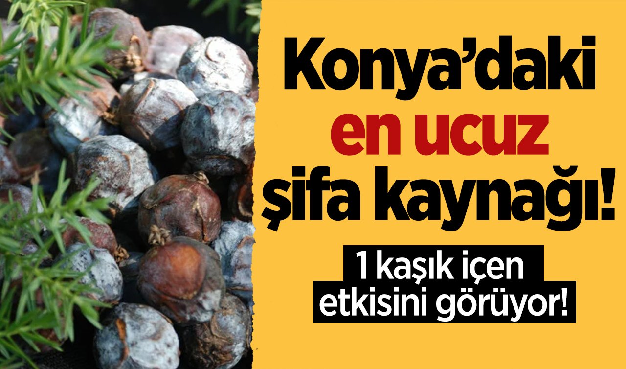 Konya’daki en ucuz şifa kaynağı! 1 kaşık içen etkisini görüyor! İşte mucizevi yüzyıllık şifa.. 