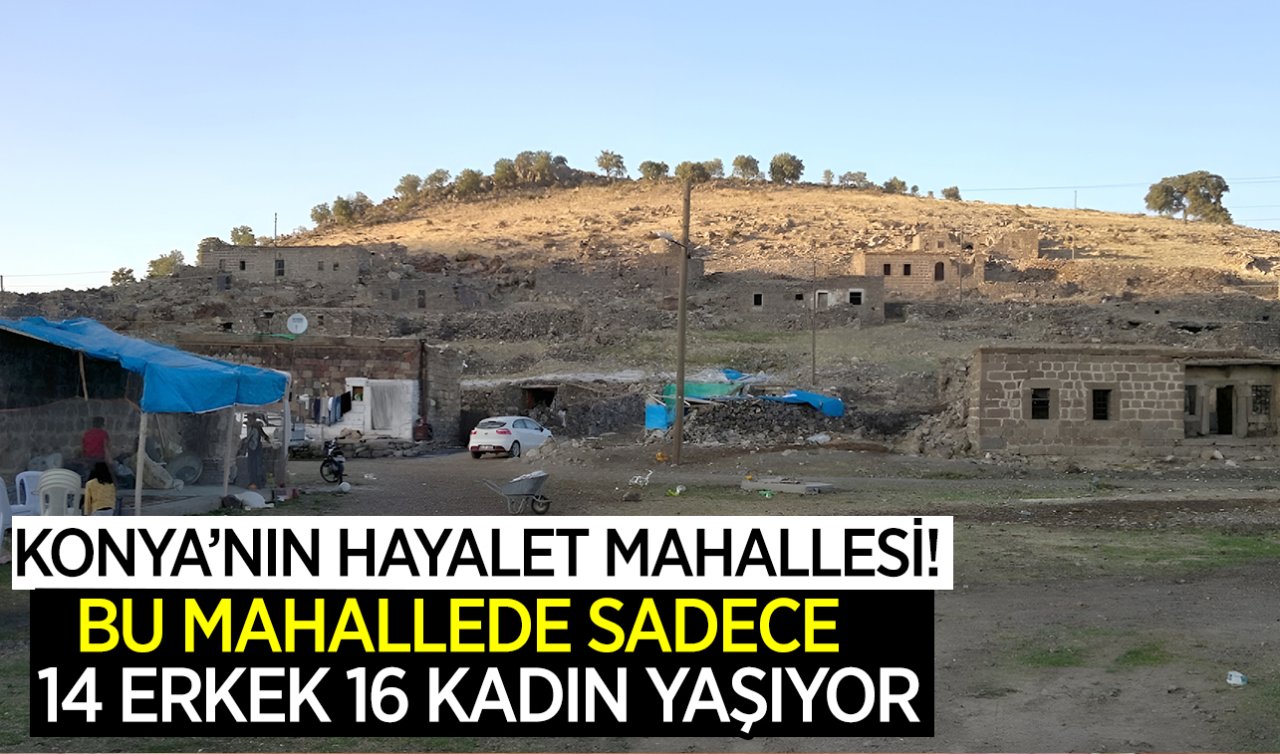 Konya’da bu mahallenin nüfusu yok olma derecesinde! Sadece 30 kişi yaşıyor 