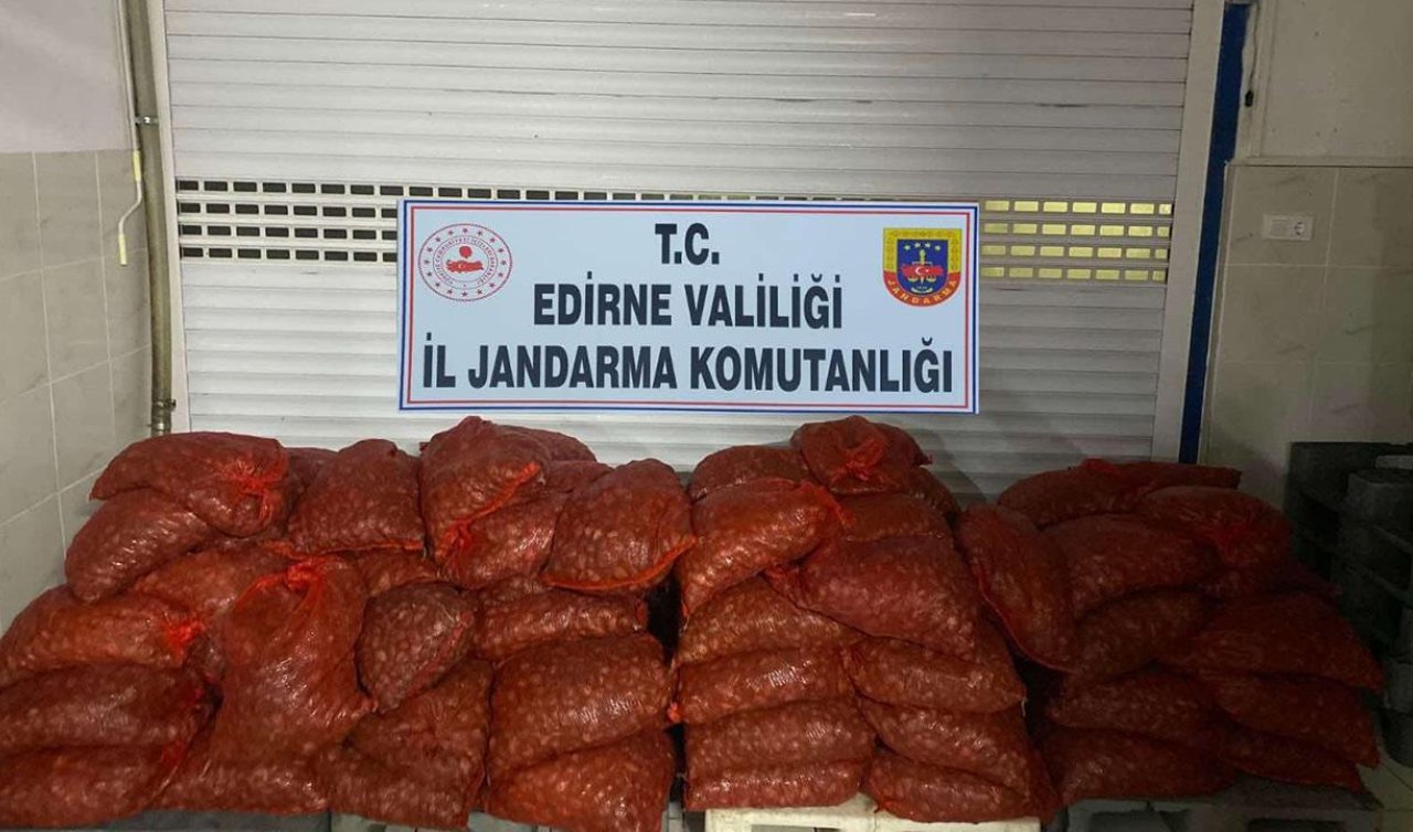 1 ton 662 kilo kaçak kum midyesi ele geçirildi