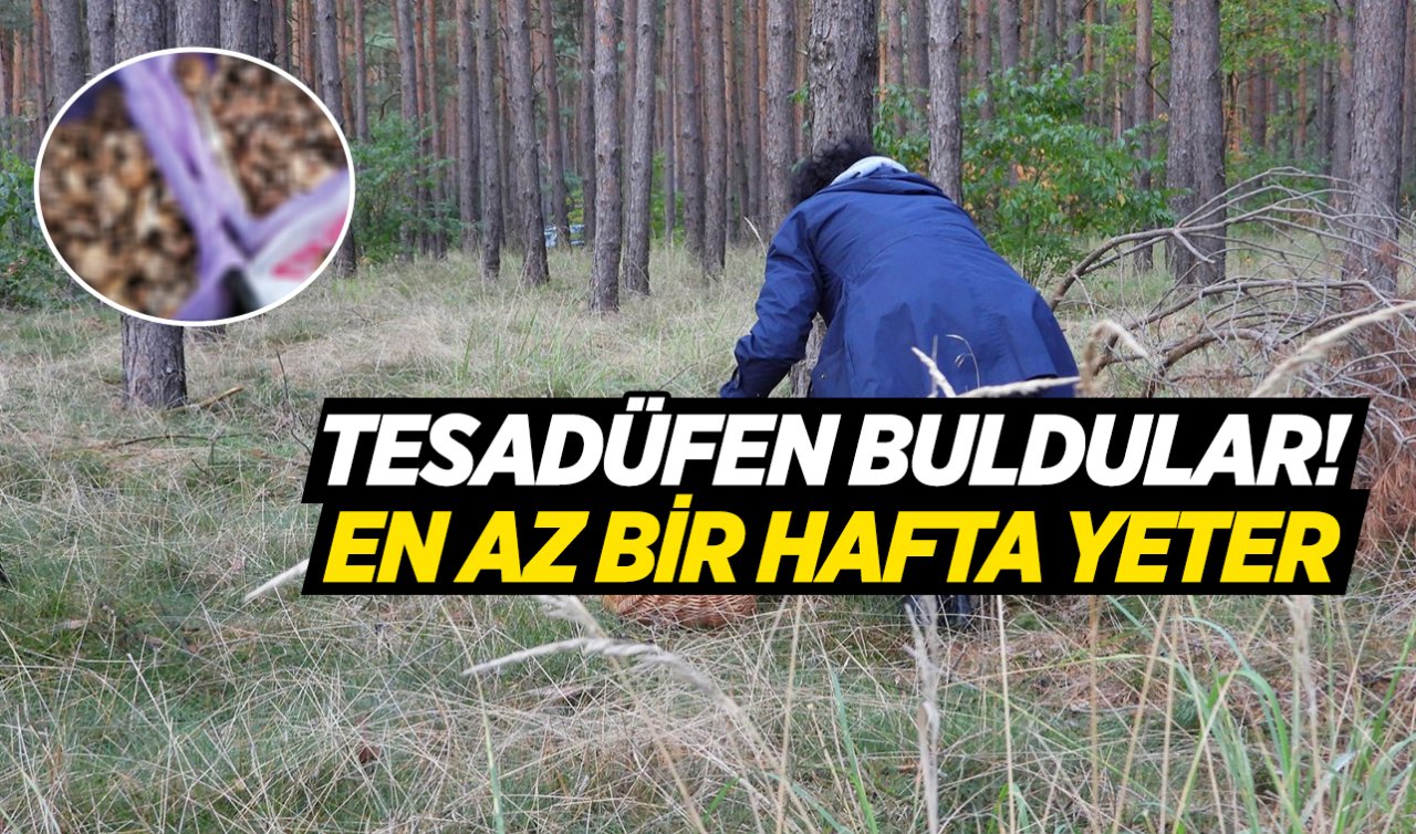 Konya’da pikniğe giden aile tesadüfen buldu! En az bir hafta yeter