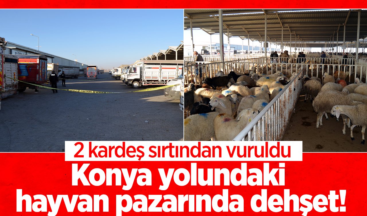 Konya yolundaki hayvan pazarında dehşet!  2 kardeş sırtından vuruldu 