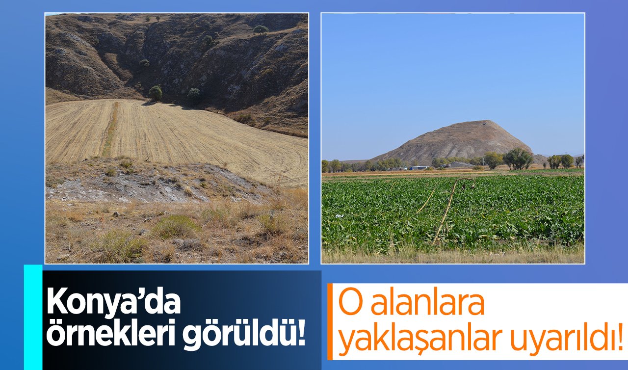 Konya’da örnekleri görüldü! O alanlara yaklaşanlar uyarıldı! Önlem alınmazsa.. 