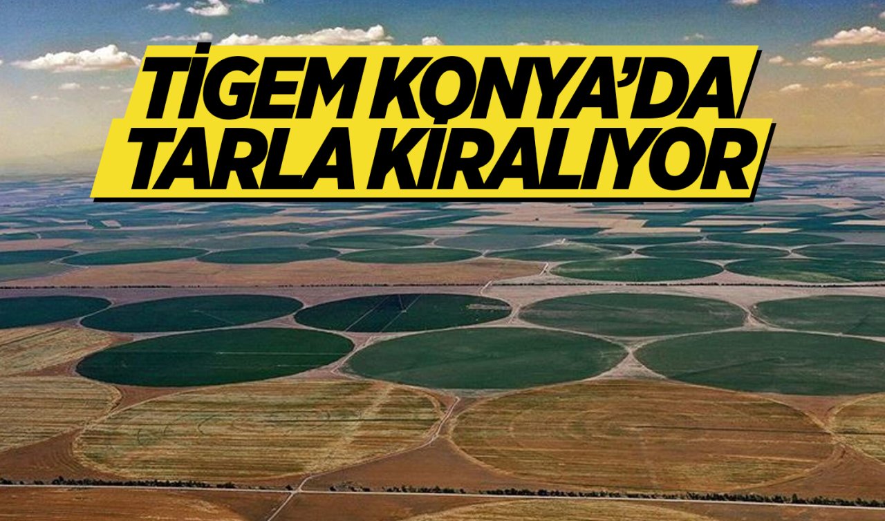 TİGEM Konya’da tarla kiralıyor! 5 bin 669 dekar arazide üretim fırsatı