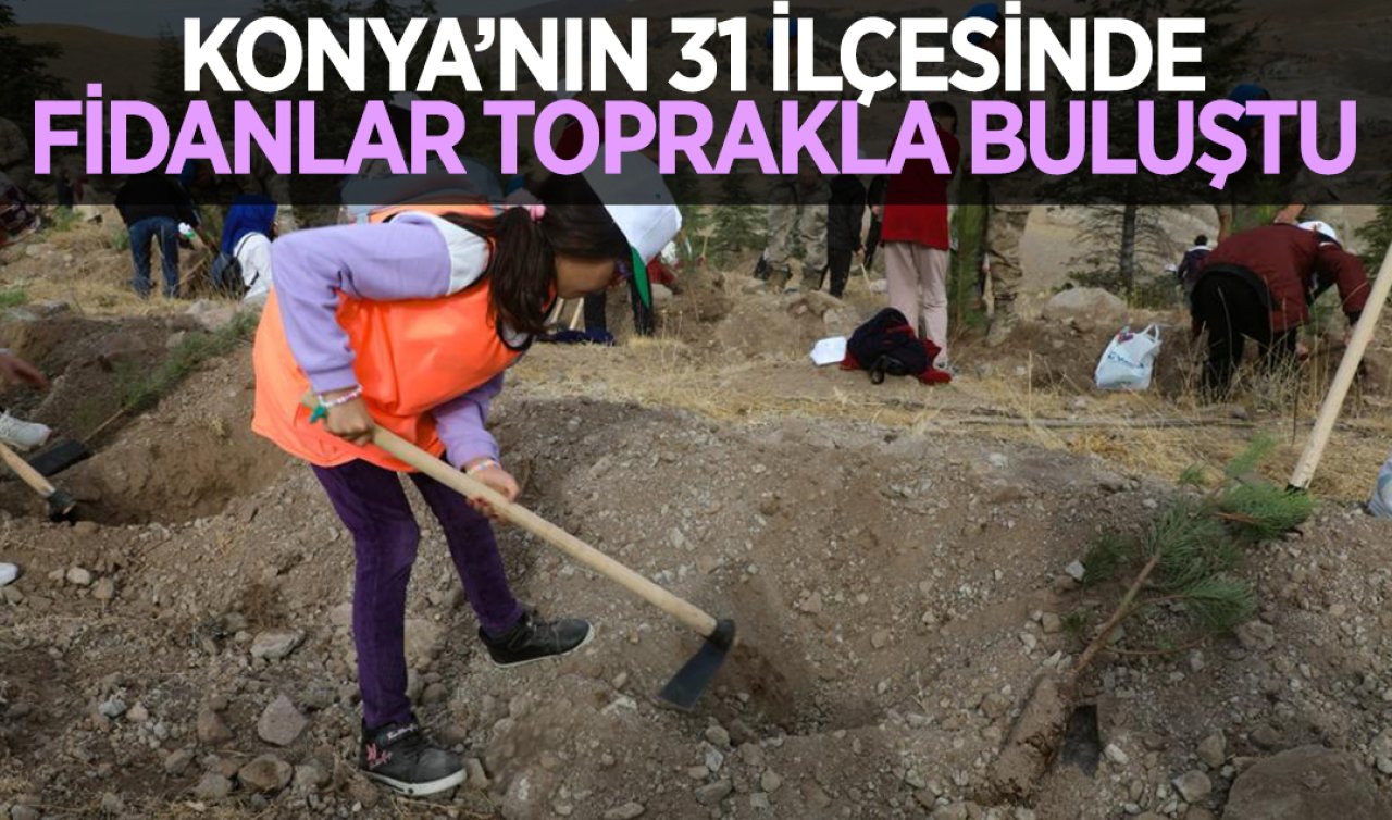 Konya’da 31 ilçede 56 bin toprak fidanla buluştu
