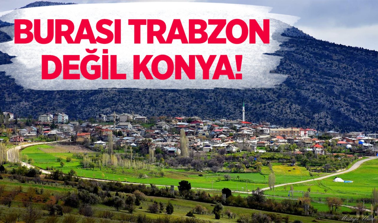  Trabzon yaylalarını kıskandıran Konya’nın meşhur yaylası! 