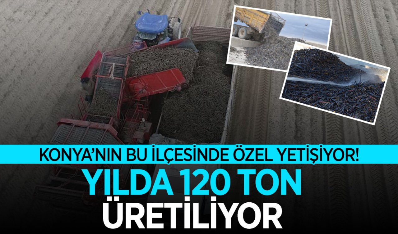 Konya’da üretiliyor tüm dünyaya ihraç ediliyor!  3 bin aileye geçim kaynağı oluyor