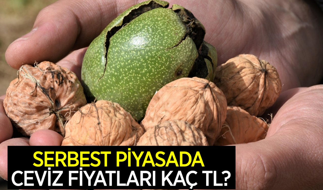 Ceviz piyasası karışık! Serbest piyasada güncel ceviz fiyatları