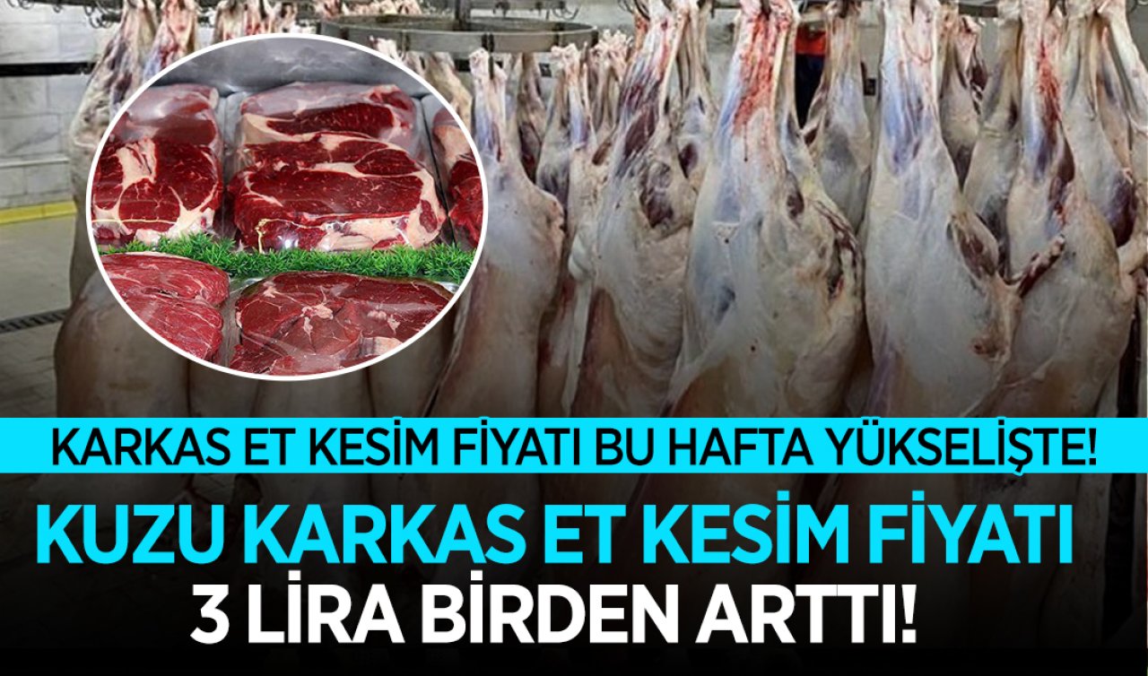 Karkas et kesim fiyatı yükseldi! Kuzuda üreticiyi sevindirecek fiyat artışı
