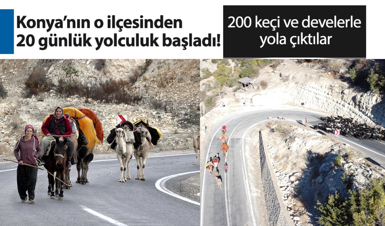 Konya’nın o ilçesinden 20 günlük yolculuk başladı! 200 keçi ve develerle yola çıktılar