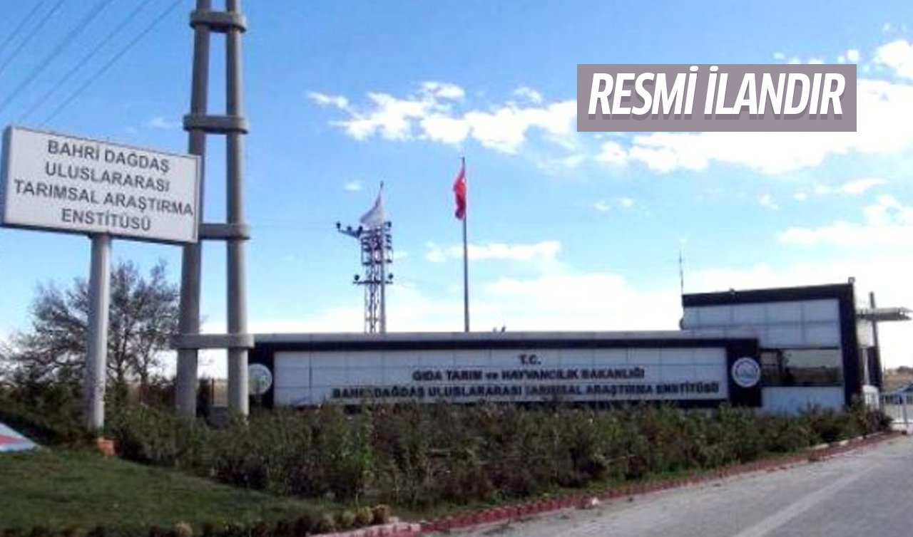 Bahri Dağdaş’a taş değirmen alınacak