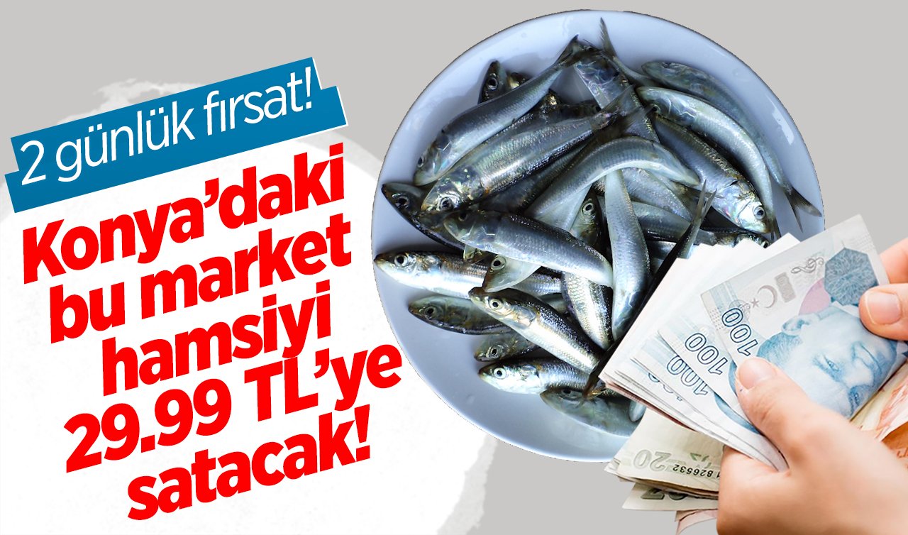 2 günlük fırsat! Konya’daki bu market hamsiyi 29.99 TL’ye satacak! 