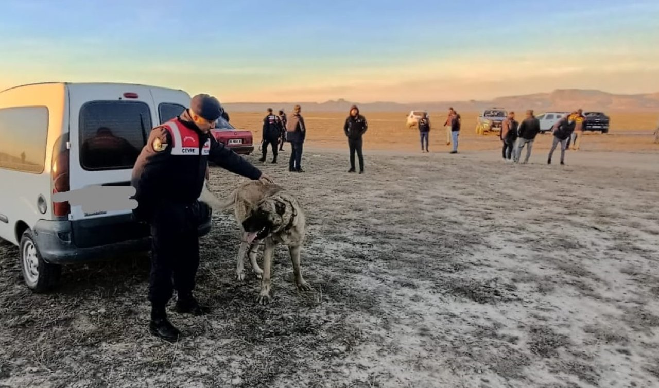 Bahisle köpek dövüştüren 37 kişiye 150 bin TL ceza
