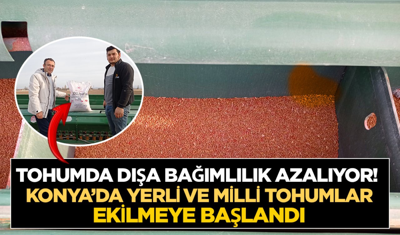 Yerli ve milli tohum Konya’da ekildi! Dışa bağımlılık son bulacak