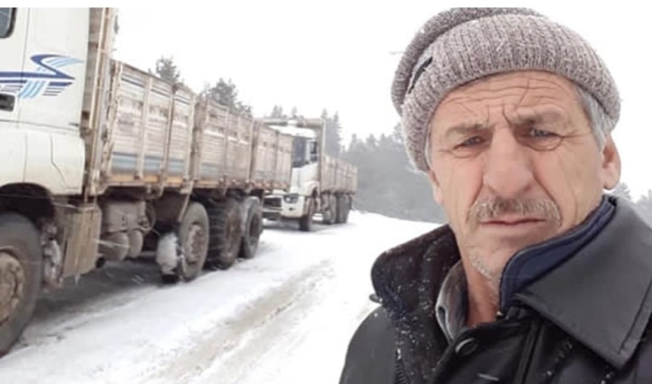 Üzerine tomruk devrilen kamyon sürücüsü öldü
