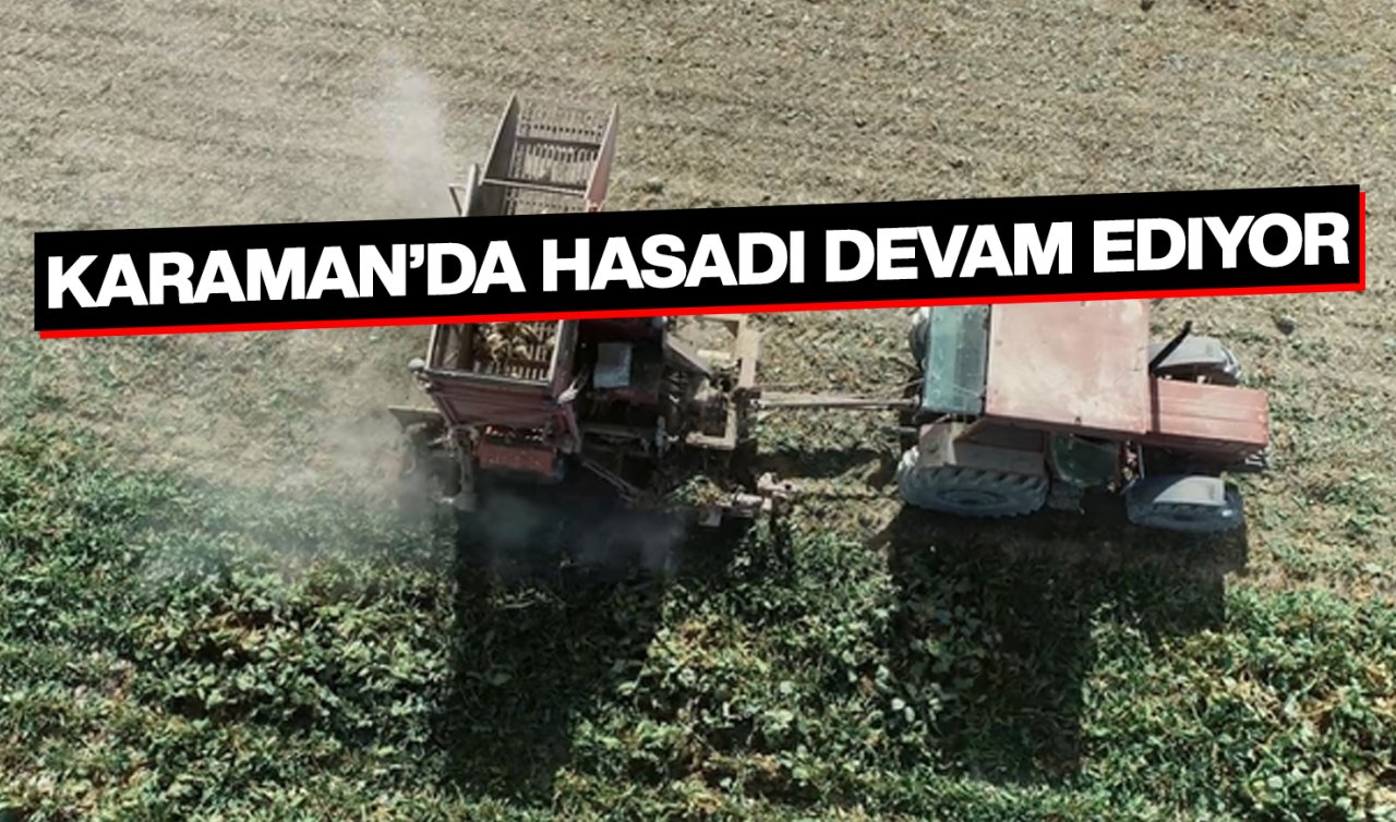 Karaman’da hasadı devam ediyor! Fiyatı bin 855 lira