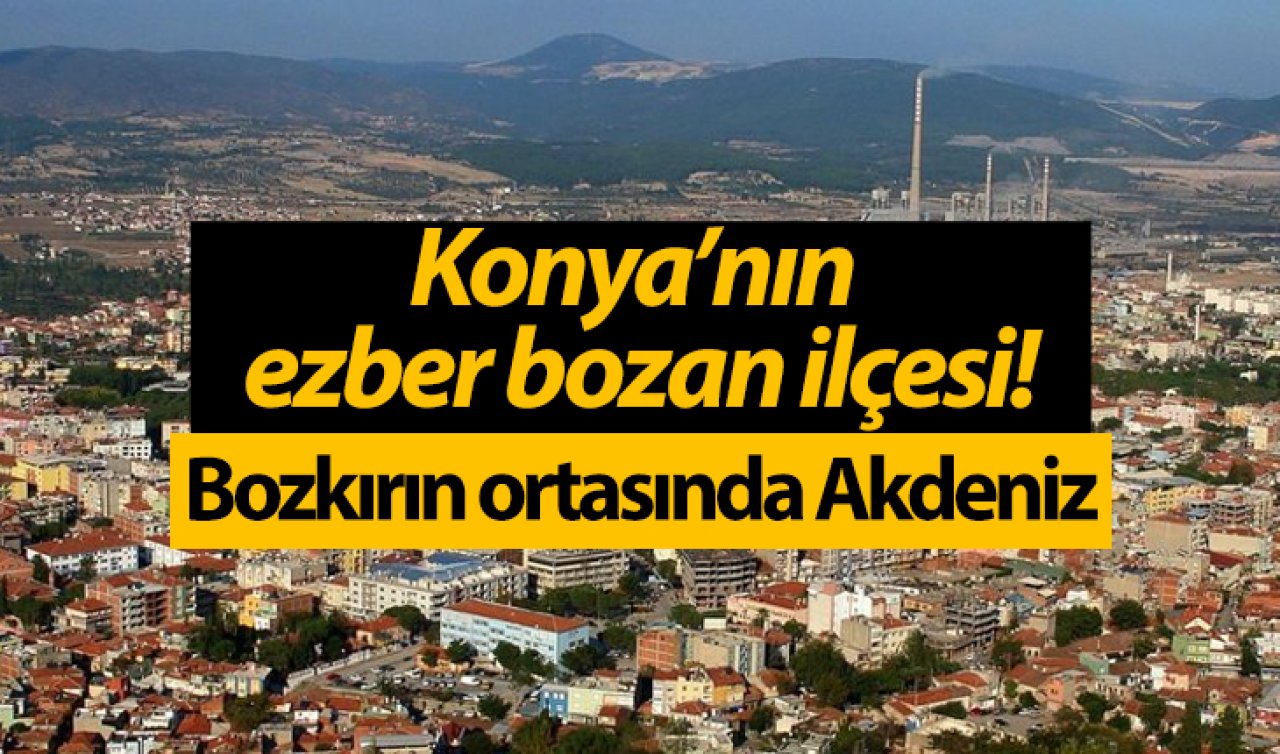 Konya’nın ezber bozan ilçesi! Bozkırın ortasında Akdeniz 