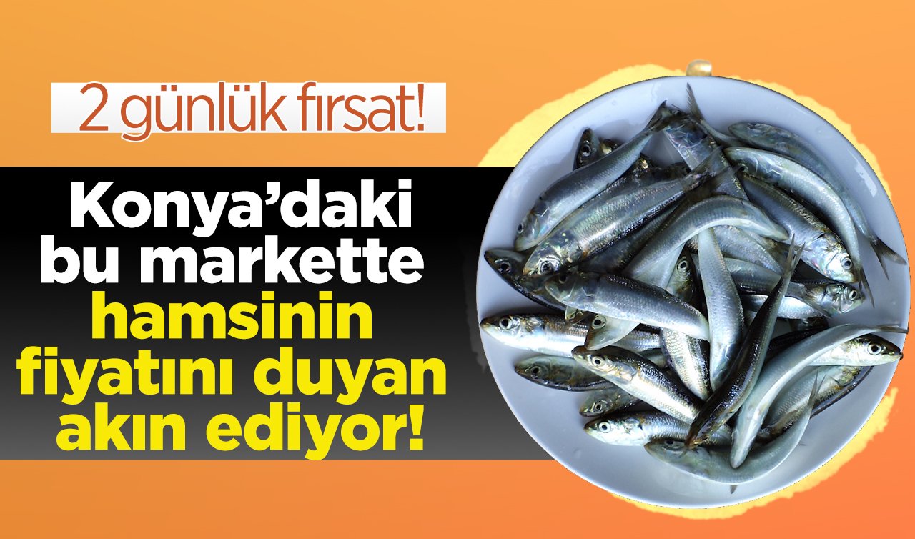 2 günlük fırsat! Konya’daki bu markette hamsinin fiyatını duyan akın ediyor! Hamsi 36,95 TL, İstavrit 49,95 TL..