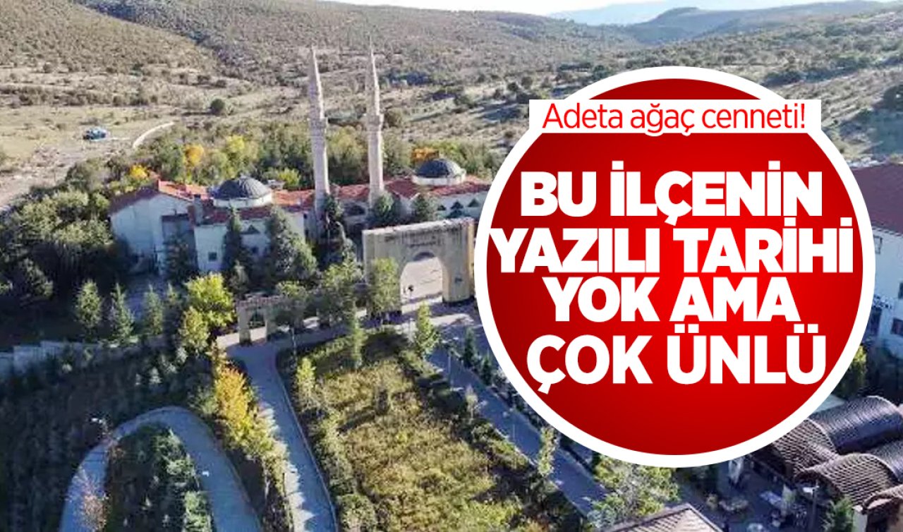 Ankara’nın ağaç cenneti! Bu ilçenin yazılı tarihi yok ama çok ünlü