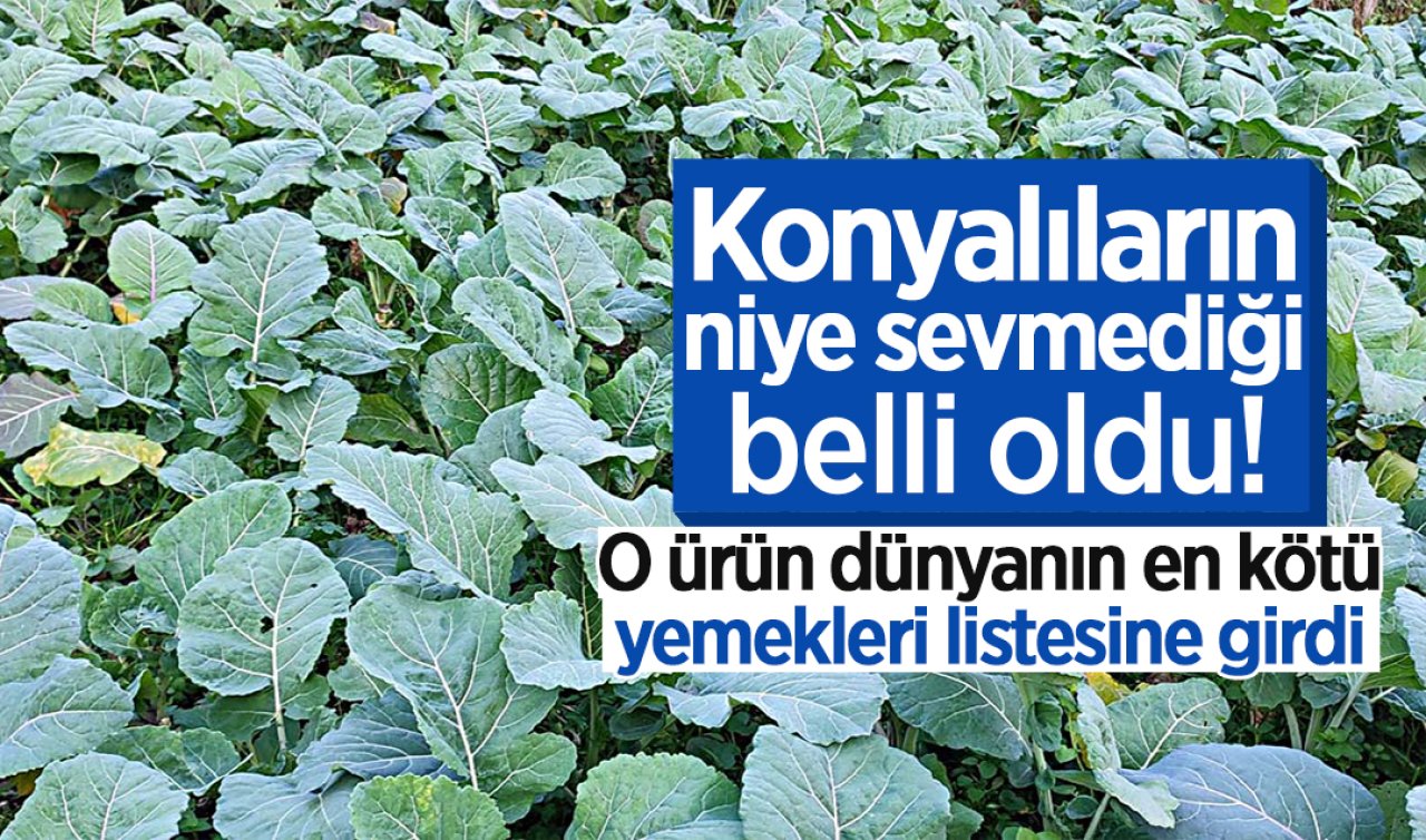 Konyalıların niye sevmediği belli oldu! O ürün dünyanın en kötü yemekleri listesine girdi Rize ve Trabzonlular çok kızgın!