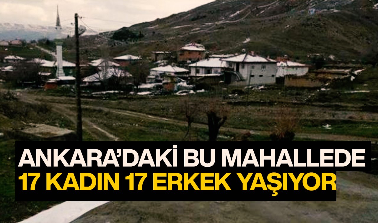 Ankara’daki bu mahallede toplam 34 kişi yaşıyor!                                     