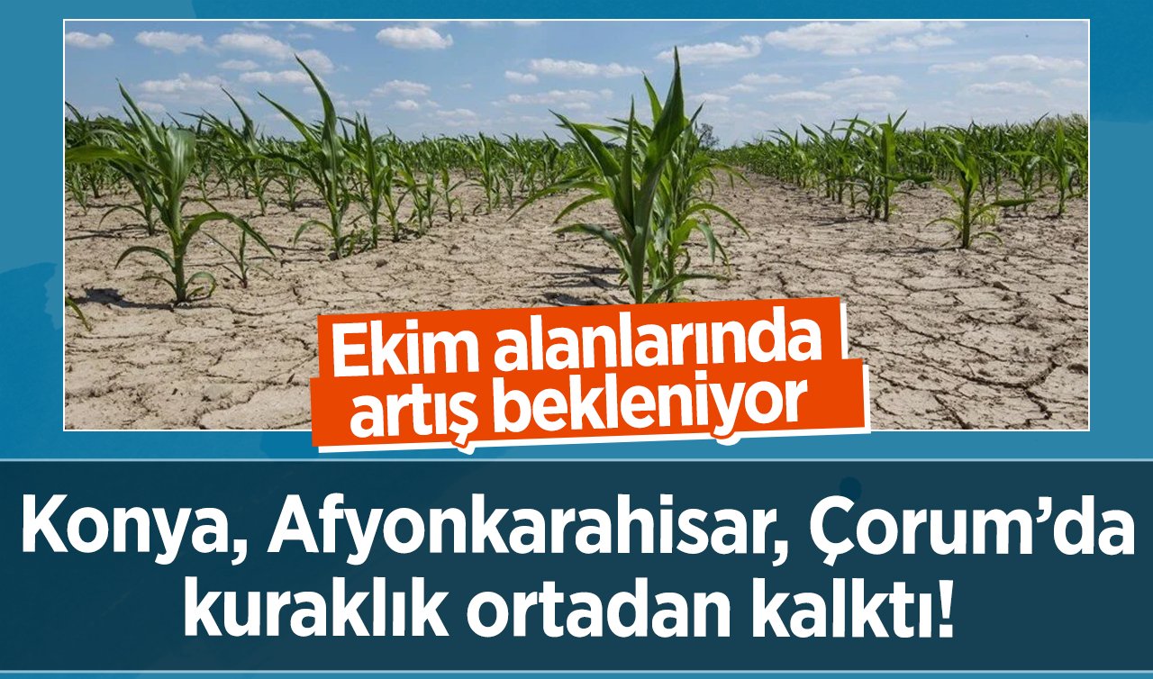 TESPİT EDİLDİ: Konya, Afyonkarahisar, Çorum’da kuraklık ortadan kalktı! Ekim alanlarında artış bekleniyor 