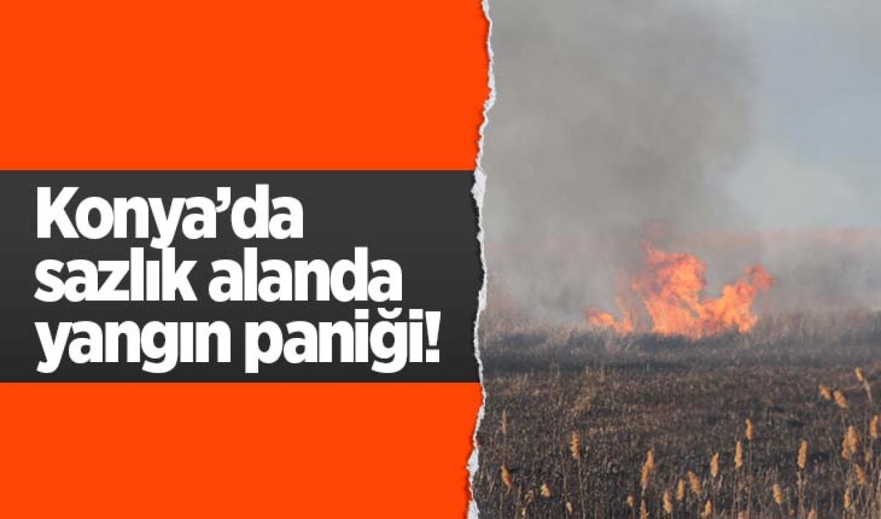 Konya’da sazlık alanda yangın paniği
