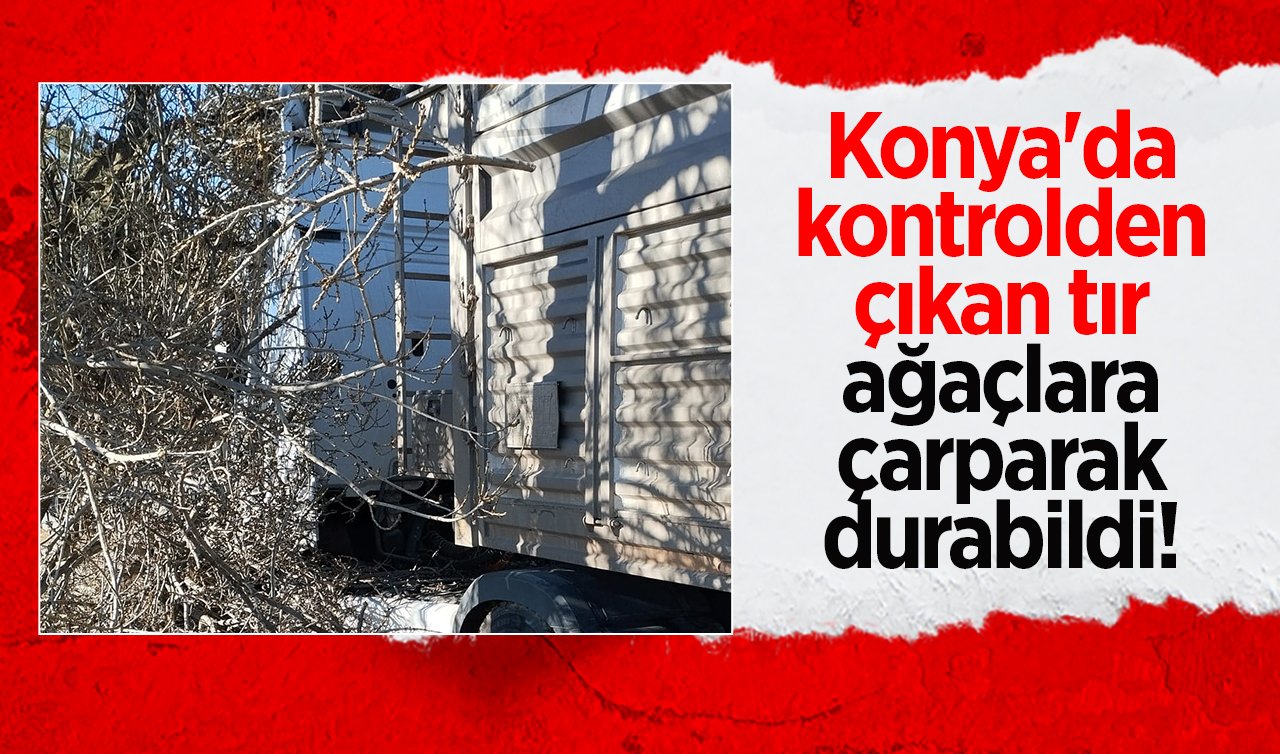  Konya’da kontrolden çıkan tır ağaçlara çarparak durabildi! Sürücü yaralandı