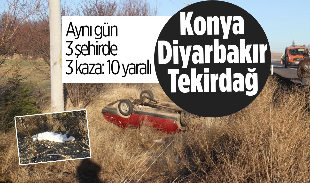 Konya, Diyarbakır, Tekirdağ.. Aynı gün 3 şehirde 3 kaza 10 yaralı: Sokak köpekleri tehlike saçıyor