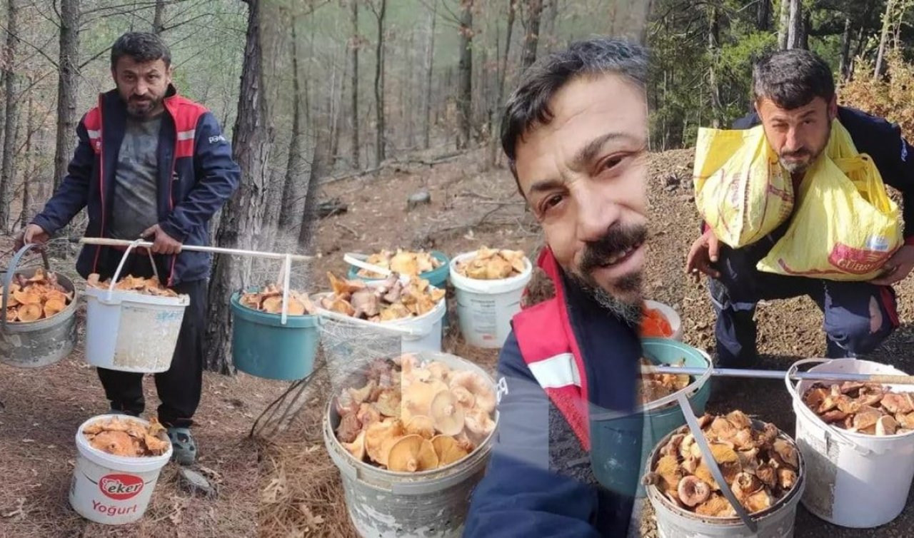  Günde 4-5 saat çalışıyor aylık 90 bin TL kazanıyor! Yaptığı iş merak konusu oldu