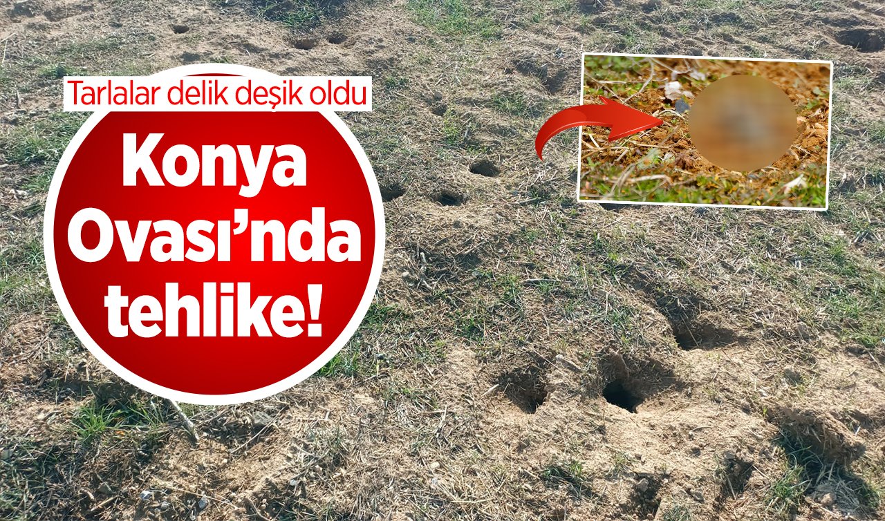 Konya Ovası’nda tehlike! Tarlalar delik deşik oldu