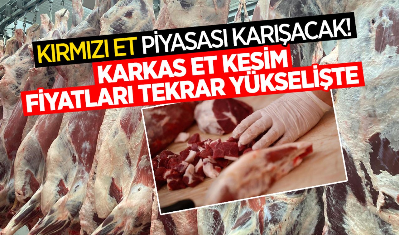 Karkas et kesim fiyatları tekrar yükselişte! Kırmızı et piyasası karışacak