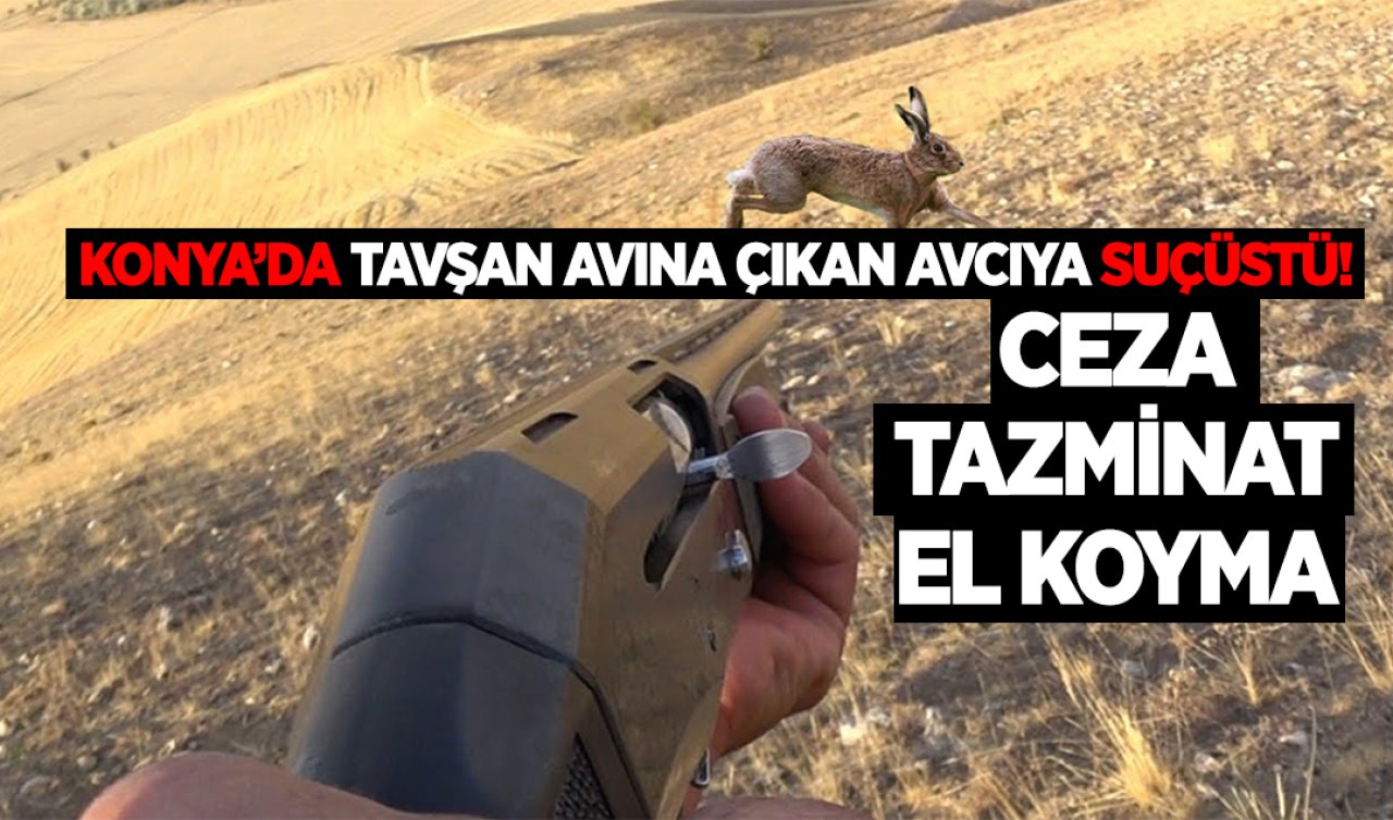 Konya’da tavşan avına çıkan avcı suçüstü yakalandı! Ceza tazminat el koyma